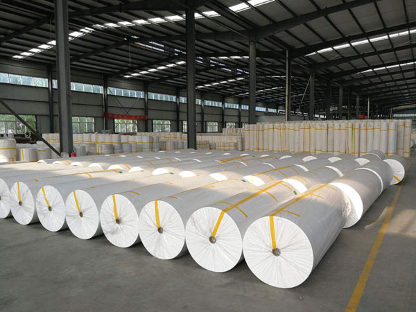 邱县狭缝式涤纶纺粘无纺布